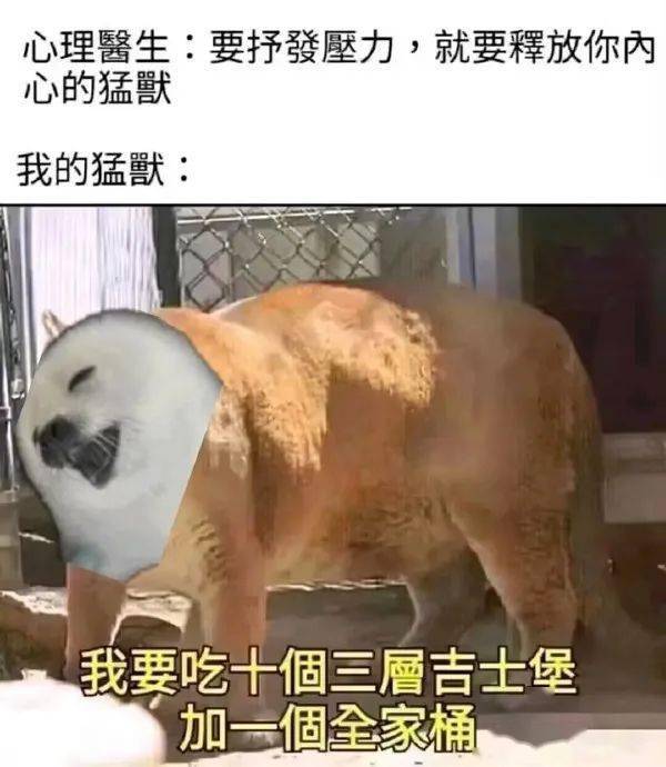 皇冠信用网登3代理_Steam冬季大促即将截止皇冠信用网登3代理!《杀手》免费升级!暴雪国内代理四家候选无网易!年度最佳出炉!