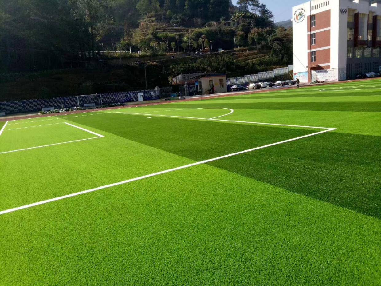 皇冠信用网出租足球_专业足球场用什么草坪皇冠信用网出租足球?