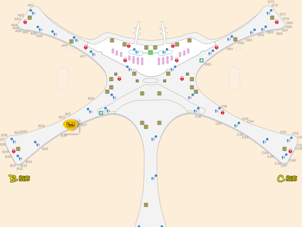 皇冠信用盘会员注册网址_为了这个航班,我赶了1700公里皇冠信用盘会员注册网址。