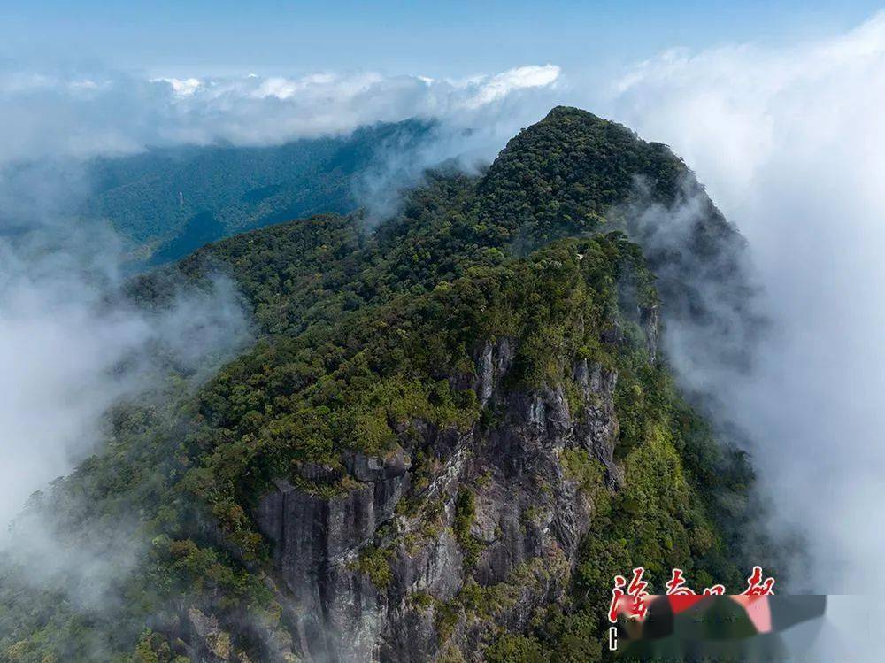 皇冠信用网登3代理_确权登记完成登簿皇冠信用网登3代理!海南热带雨林国家公园有了“户口本”