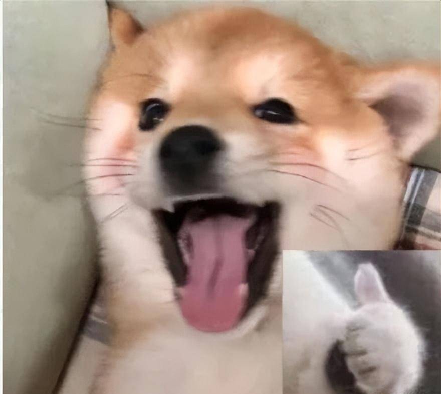 正版皇冠信用网出租_无意发现自己老师正版皇冠信用网出租,在大街上捡东西吃?网友:尴尬到脚指扣地哈哈