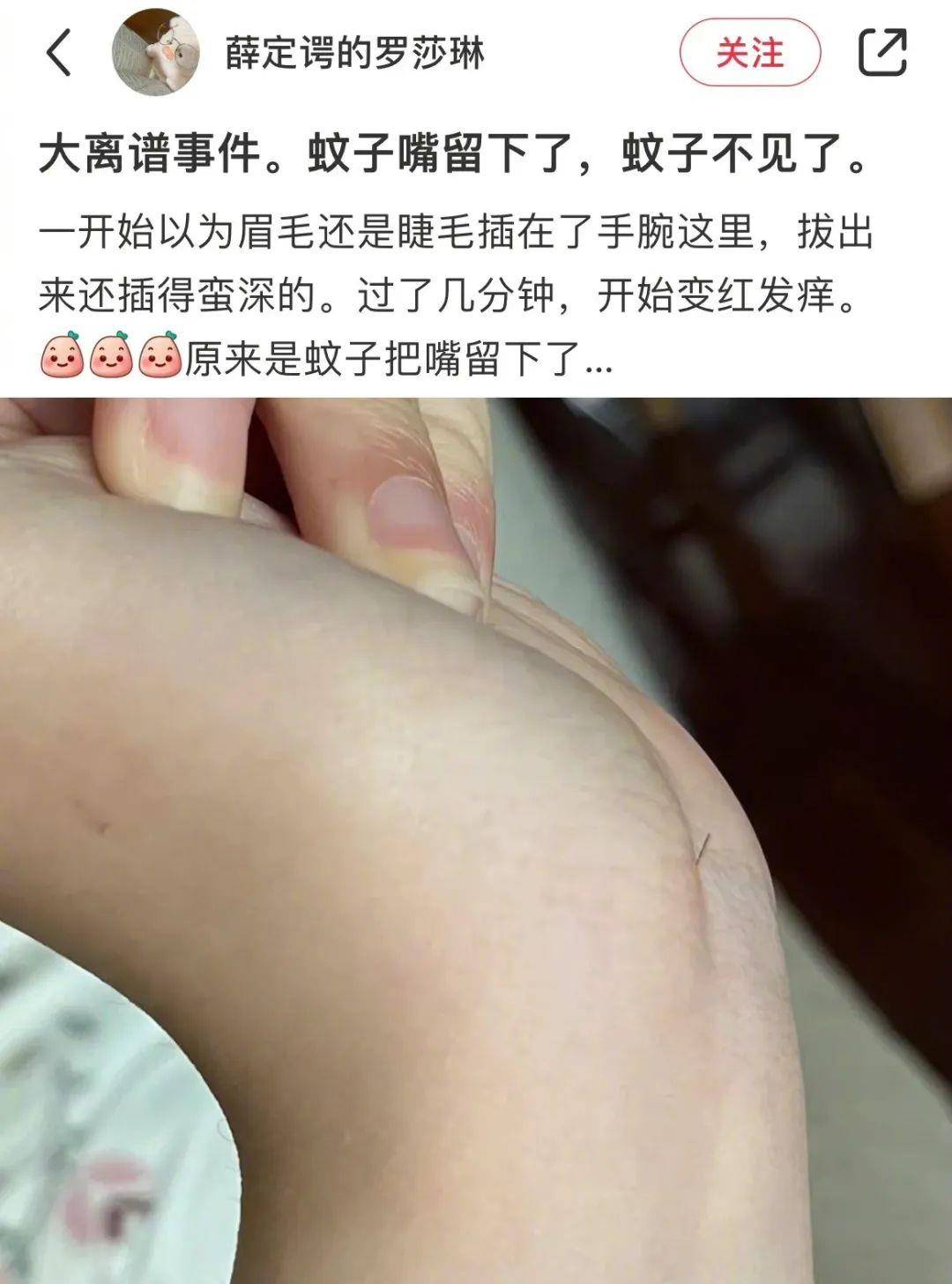 正版皇冠信用网出租_无意发现自己老师正版皇冠信用网出租,在大街上捡东西吃?网友:尴尬到脚指扣地哈哈