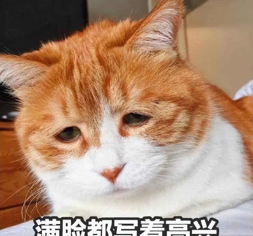 正版皇冠信用网出租_无意发现自己老师正版皇冠信用网出租,在大街上捡东西吃?网友:尴尬到脚指扣地哈哈