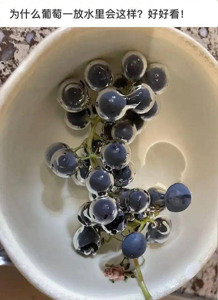 正版皇冠信用网出租_无意发现自己老师正版皇冠信用网出租,在大街上捡东西吃?网友:尴尬到脚指扣地哈哈