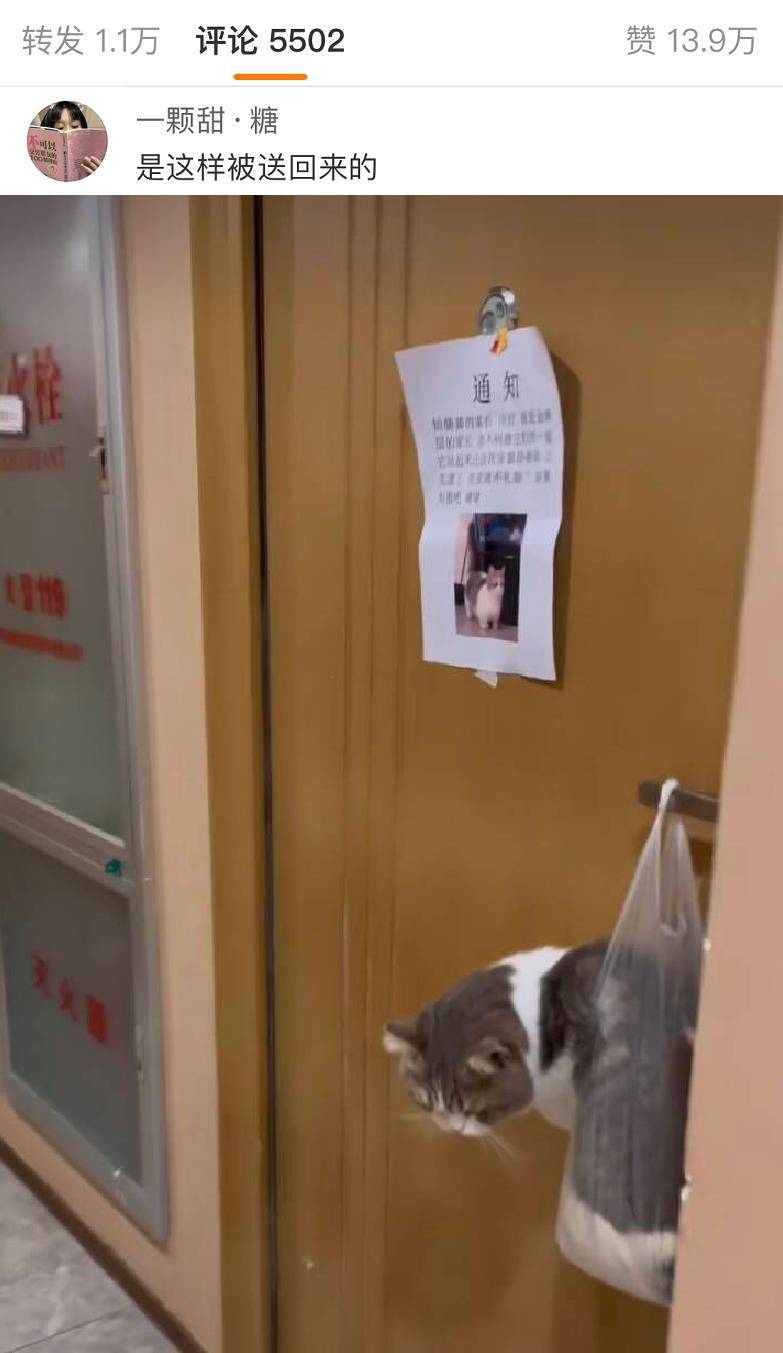 正版皇冠信用网出租_无意发现自己老师正版皇冠信用网出租,在大街上捡东西吃?网友:尴尬到脚指扣地哈哈