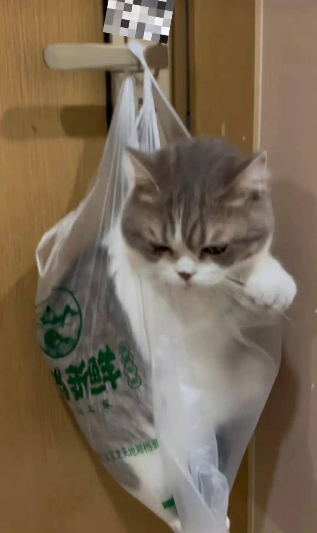 正版皇冠信用网出租_无意发现自己老师正版皇冠信用网出租,在大街上捡东西吃?网友:尴尬到脚指扣地哈哈