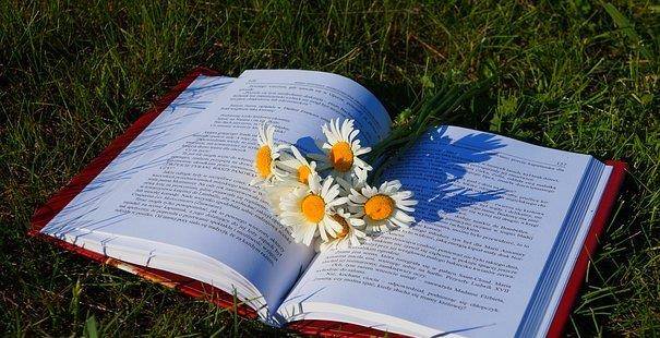 如何申请皇冠代理_艺术代理合同超额损害赔偿如何申请减免如何申请皇冠代理?