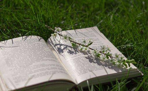 如何申请皇冠代理_艺术代理合同超额损害赔偿如何申请减免如何申请皇冠代理?