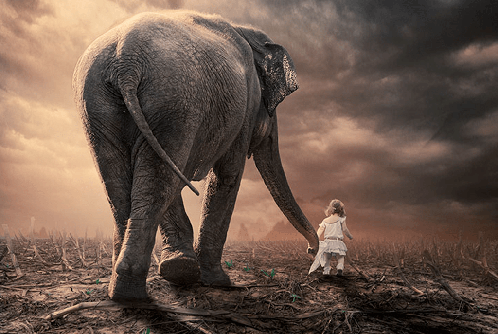 正版皇冠信用盘_二手车正版皇冠信用盘,新政落地了,好机会来了,人才都走了!