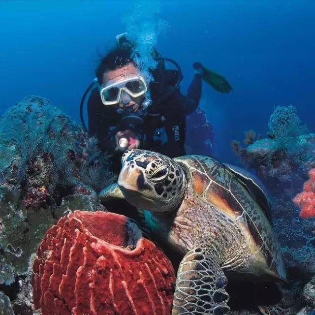 皇冠信用最新地址_首页:享海1777售楼处_享海1777欢迎您_楼盘详情-@享海1777售楼中心