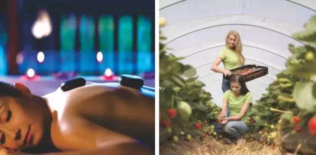 皇冠信用最新地址_首页:享海1777售楼处_享海1777欢迎您_楼盘详情-@享海1777售楼中心