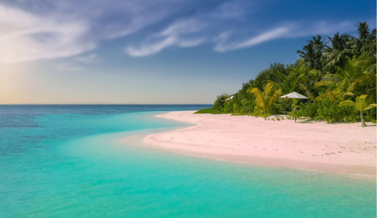 皇冠信用网需要押金吗_国际航协IATA资质办理的流程和条件皇冠信用网需要押金吗?