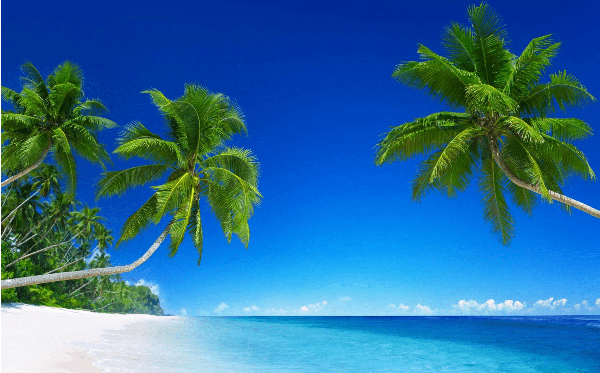 皇冠信用网需要押金吗_国际航协IATA资质办理的流程和条件皇冠信用网需要押金吗?