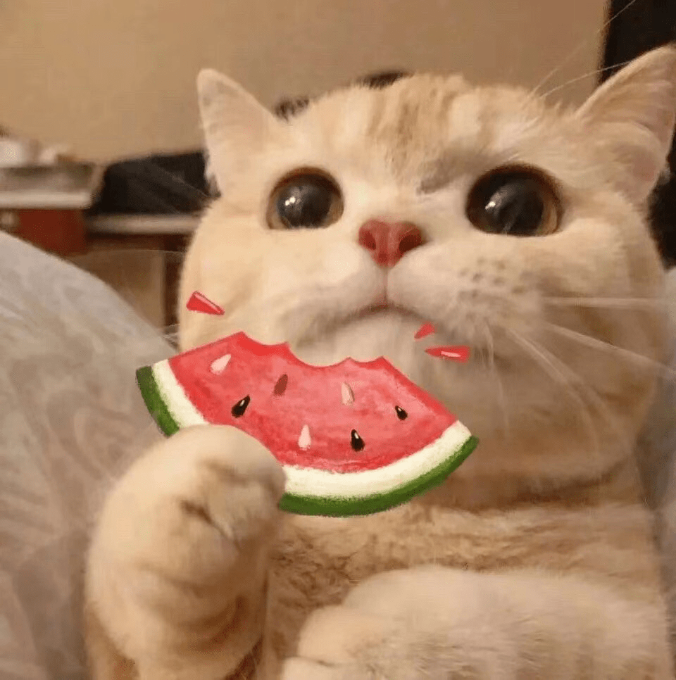 皇冠信用网会员怎么开通_3•15特辑丨别让“自动续费”悄悄扣你的钱皇冠信用网会员怎么开通!