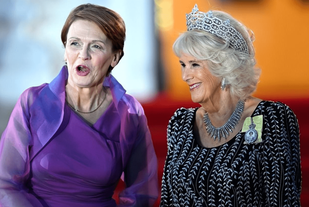 皇冠代理登3平台_德第一夫人把人惊艳!穿高贵紫礼服裙接待卡米拉皇冠代理登3平台,不戴皇冠也风光