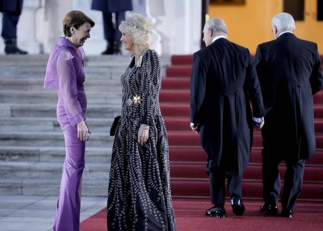 皇冠代理登3平台_德国第一夫人厉害了!穿高贵紫裙接卡米拉皇冠代理登3平台,不戴王冠也能美