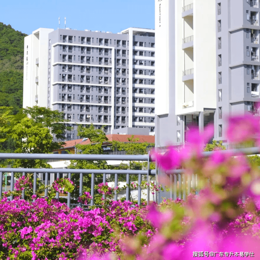 皇冠体育App下载_广应科2023年普通专升本校考安排出炉皇冠体育App下载!