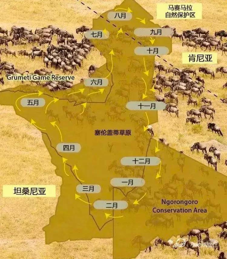 皇冠信用盘登123出租_看这一篇就够了!史上最好最详细深度的坦桑尼亚旅行攻略皇冠信用盘登123出租,没有之一