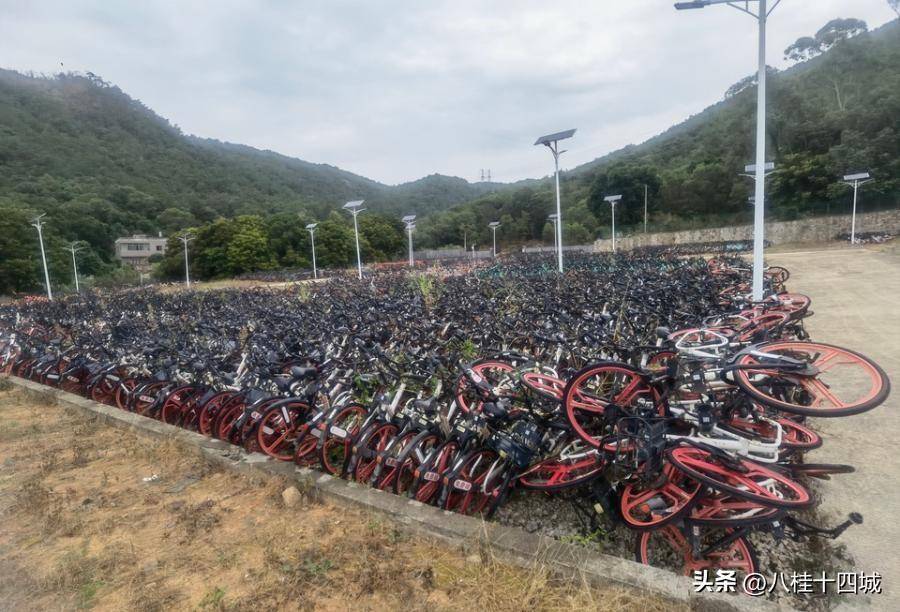 皇冠信用盘押金多少_厦门一批曾终身免费骑的赳赳共享单车15万起拍卖皇冠信用盘押金多少,被人30.9万买下