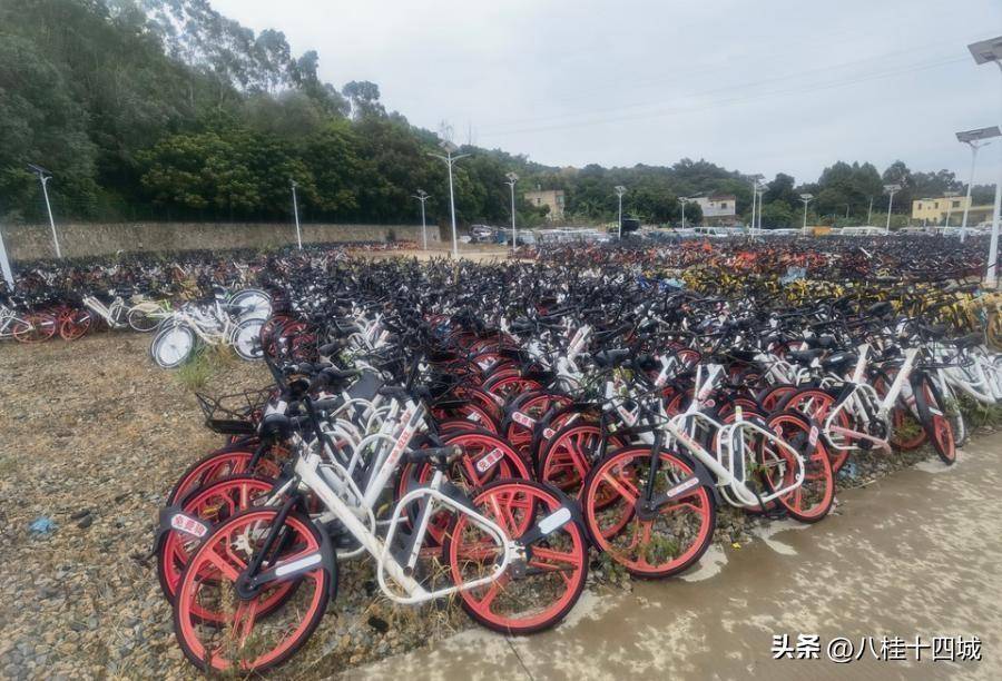 皇冠信用盘押金多少_厦门一批曾终身免费骑的赳赳共享单车15万起拍卖皇冠信用盘押金多少,被人30.9万买下