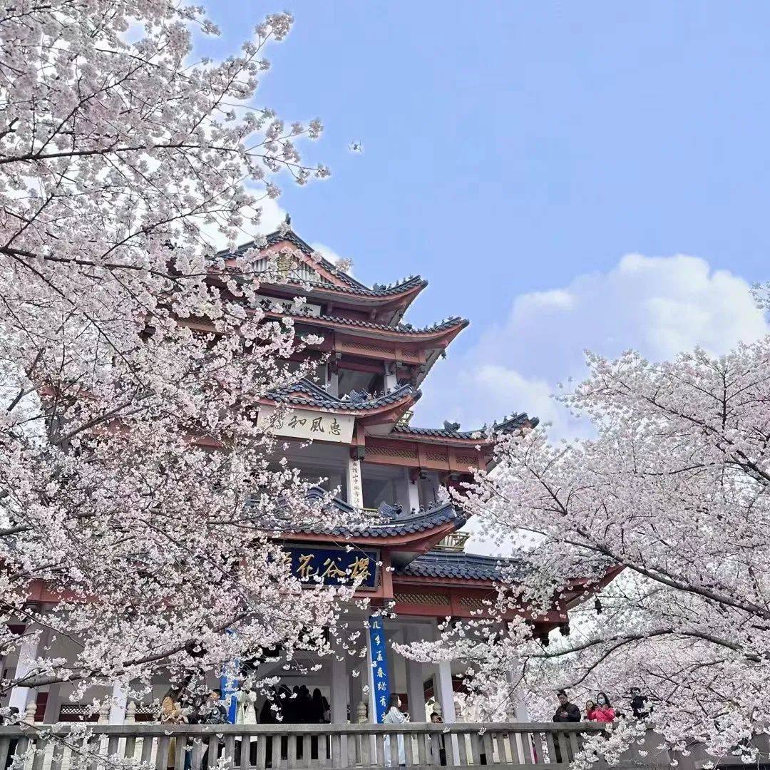 皇冠信用盘代理申条件_“假装上班三年”的女主人公皇冠信用盘代理申条件,终于找到工作了