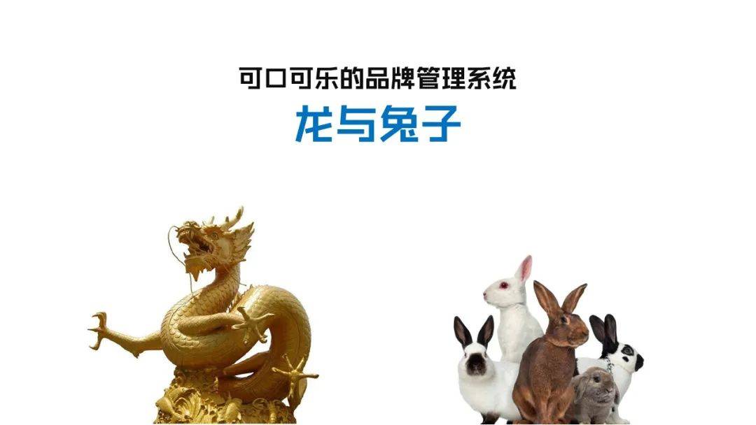 皇冠体育_品牌组合战略:企业如何规划并实施多品牌皇冠体育?