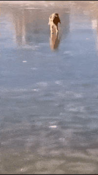 皇冠信用盘怎么弄_轻松一刻:用了这么久的表情包皇冠信用盘怎么弄,今天终于见到真人版了,哈哈哈