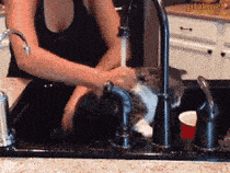 皇冠信用盘怎么弄_轻松一刻:用了这么久的表情包皇冠信用盘怎么弄,今天终于见到真人版了,哈哈哈