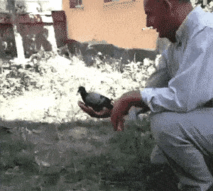 皇冠信用盘怎么弄_轻松一刻:用了这么久的表情包皇冠信用盘怎么弄,今天终于见到真人版了,哈哈哈