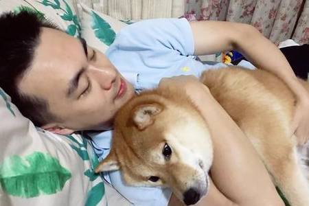 皇冠信用网去哪里弄_“养狗”和“不养狗”的人皇冠信用网去哪里弄,过的生活是不一样的