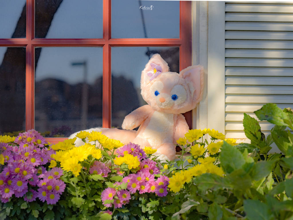 皇冠信用网怎么开户_什么是期权皇冠信用网怎么开户,怎么开户?