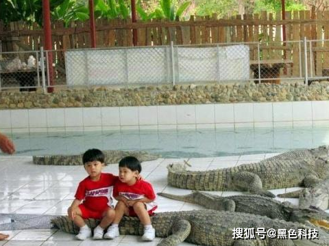 皇冠信用盘怎么弄_幽默笑话:老板皇冠信用盘怎么弄,你那猪头咋卖?