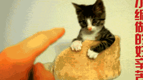 皇冠信用盘怎么弄_幽默笑话:老板皇冠信用盘怎么弄,你那猪头咋卖?