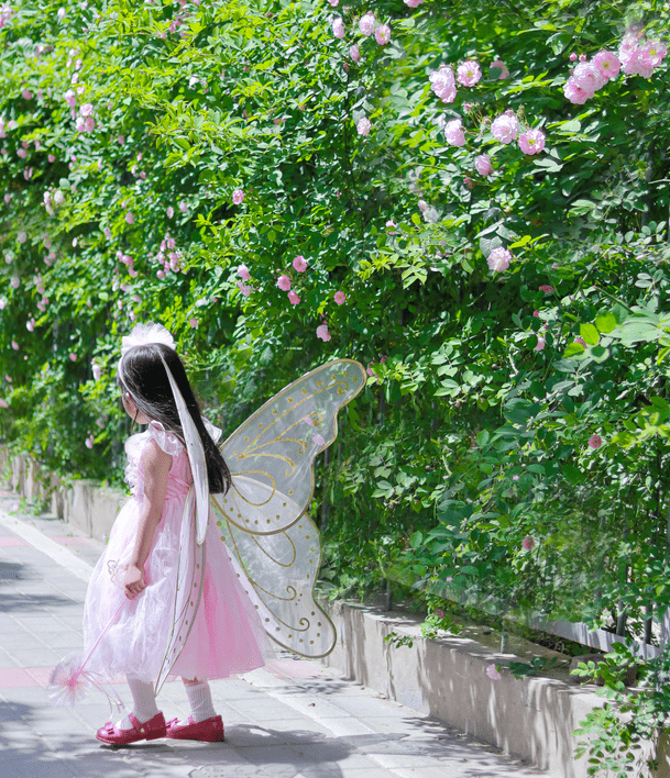 正版皇冠信用盘_六一礼物怎么选到不烂大街的款?一眼哇噻的都在这了正版皇冠信用盘!