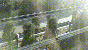 正版皇冠信用盘出租_爆笑GIF:什么叫路人式追星正版皇冠信用盘出租?小哥:老子喜欢不喜欢你 说变就变