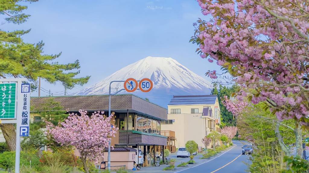 信用网怎么开户_期权无门槛开户要怎么做信用网怎么开户?