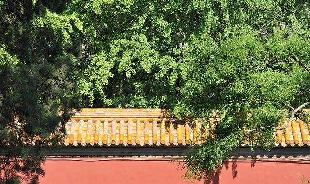 皇冠信用盘登_崇祯生性多疑皇冠信用盘登,不信文官武将,为何却很信任宦官?