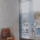 皇冠信用盘怎么注册_搞笑GIF趣图:这样的衬衫好想来一件皇冠信用盘怎么注册,简直良心神器