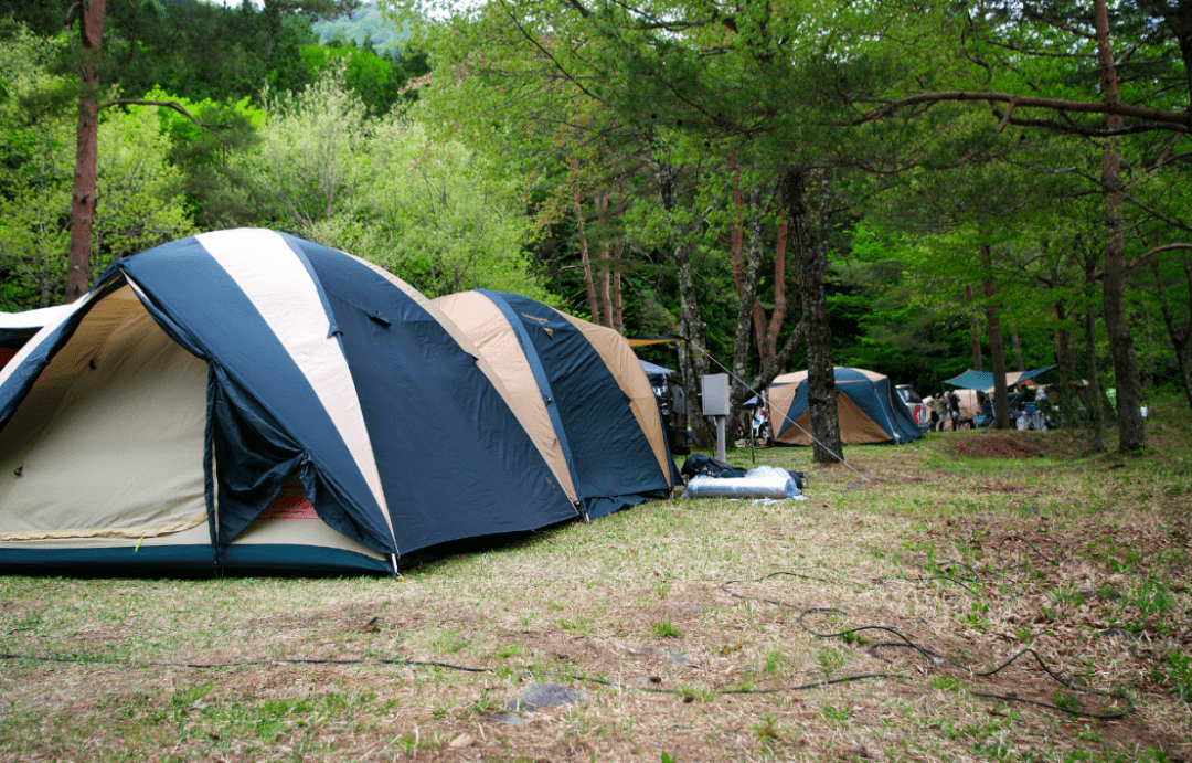 皇冠信用盘代理占成_想吸引更多中国游客皇冠信用盘代理占成,普及电子支付很重要?