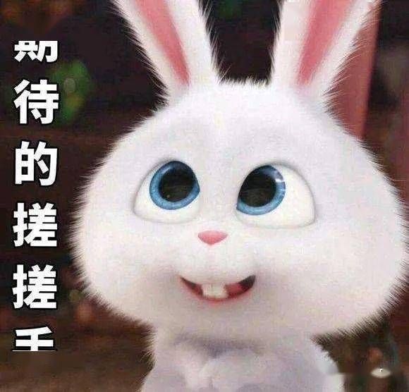 皇冠信用盘会员账号_庆“五一”皇冠信用盘会员账号,“竹”购优惠 购物满减活动即将上线!“竹韵工惠”系列普惠活动持续开展中!