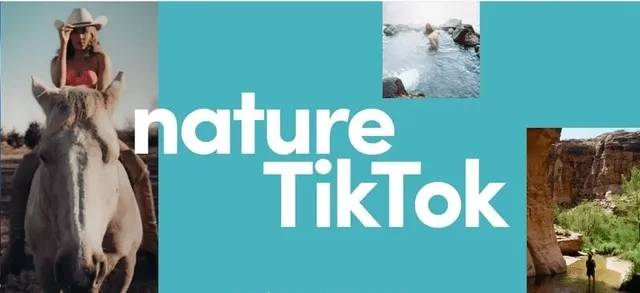 皇冠信用网怎么申请_TIKTOK公会怎么申请皇冠信用网怎么申请?