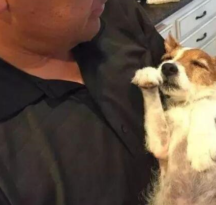 皇冠信用网去哪里弄_半夜醒来发现家里有黑影皇冠信用网去哪里弄,畏畏缩缩跟过去一看,差点笑喷!