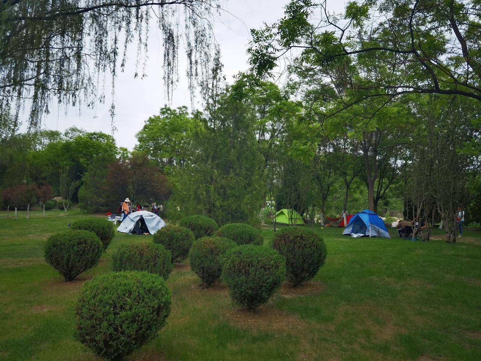 皇冠信用盘出租足球_文化旅游 | 露营好去处皇冠信用盘出租足球!银川开放首批12处公园绿地!