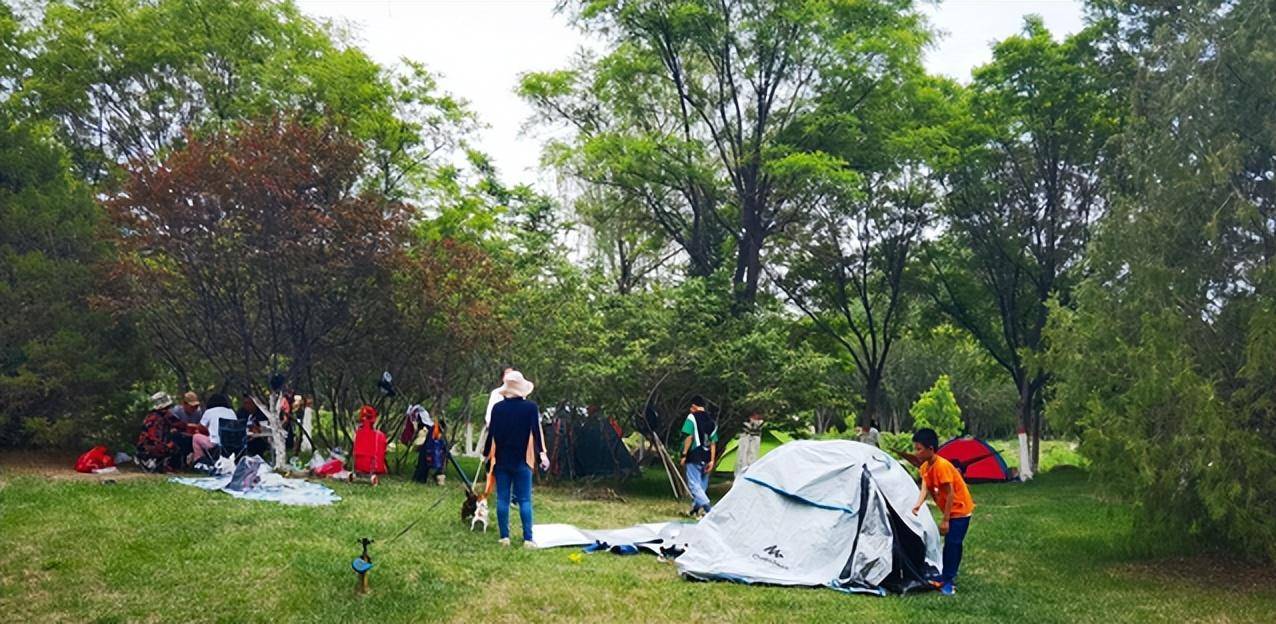 皇冠信用盘出租足球_文化旅游 | 露营好去处皇冠信用盘出租足球!银川开放首批12处公园绿地!