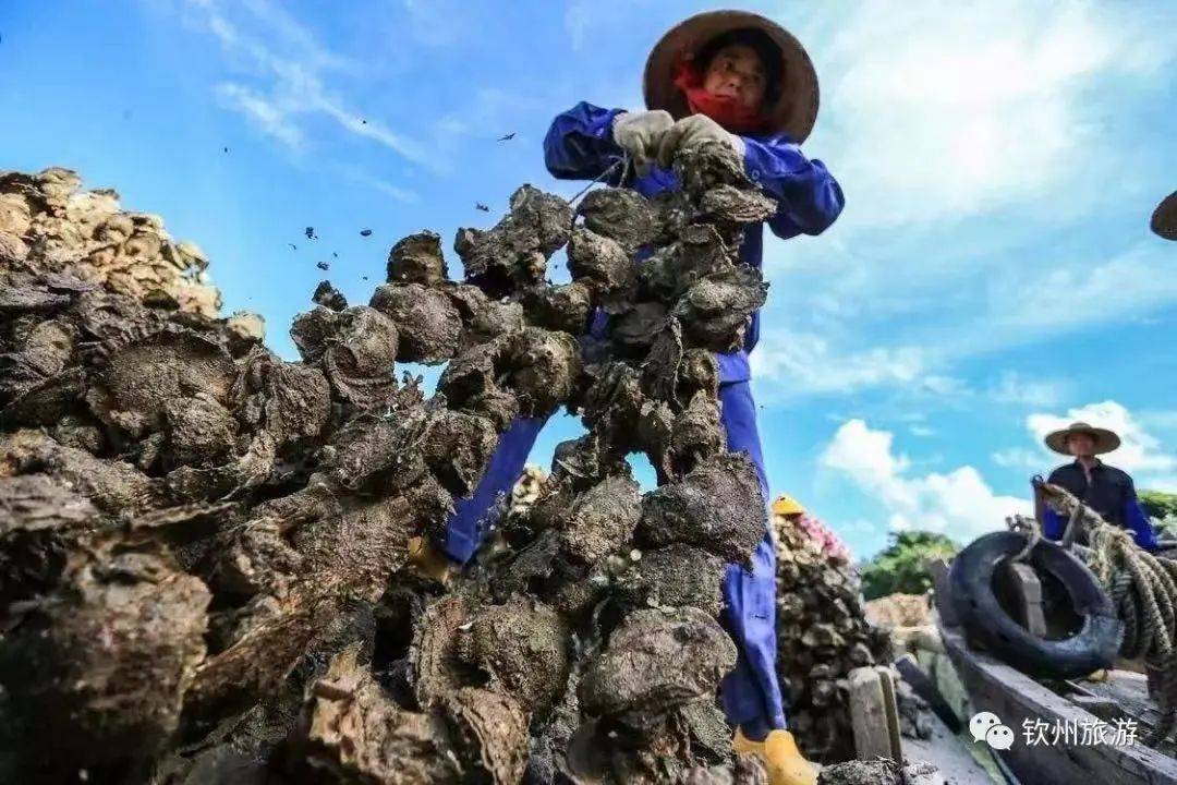 皇冠体育_总要跟爱的人去一次海边吧皇冠体育!| 《南海姑娘》的浪漫指南