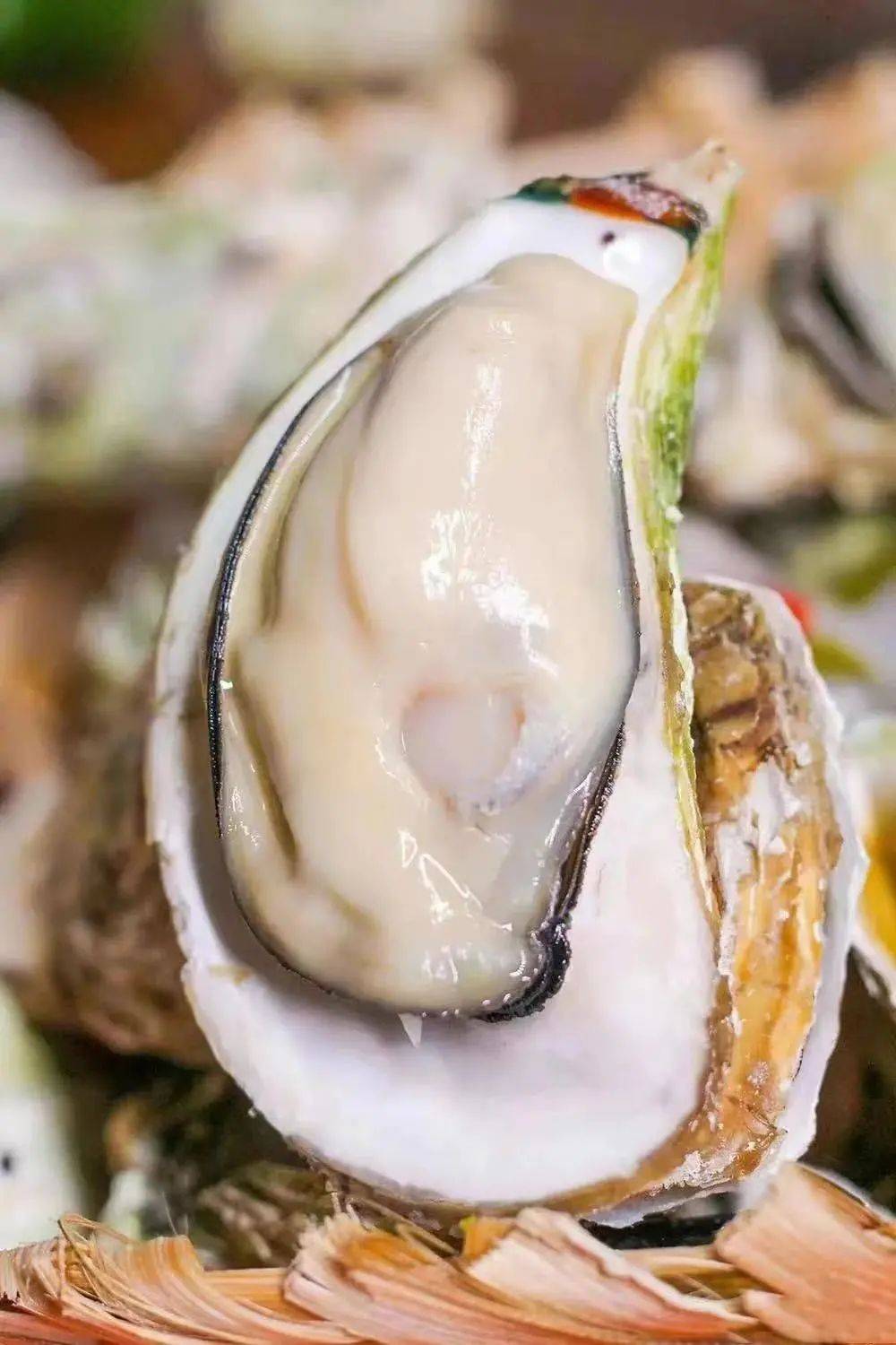 皇冠体育_总要跟爱的人去一次海边吧皇冠体育!| 《南海姑娘》的浪漫指南