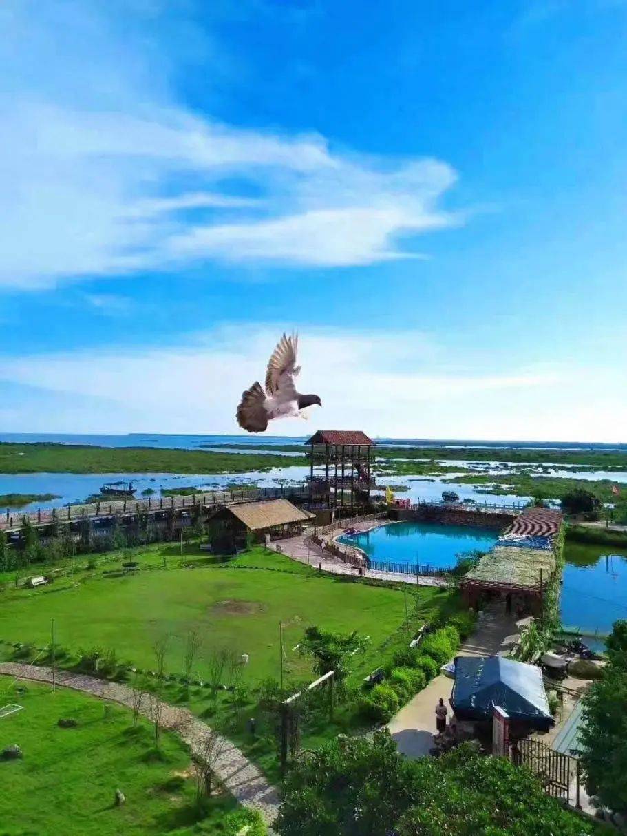 皇冠体育_总要跟爱的人去一次海边吧皇冠体育!| 《南海姑娘》的浪漫指南