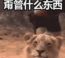 皇冠信用盘是什么意思_盘它是什么意思皇冠信用盘是什么意思?怎么听了很搞笑的感觉