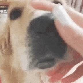 皇冠信用盘是什么意思_盘它是什么意思皇冠信用盘是什么意思?怎么听了很搞笑的感觉