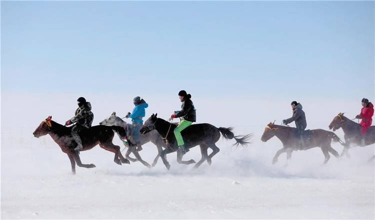 俄罗斯超级联赛_飒爽俄罗斯超级联赛!蒙古马超级联赛
